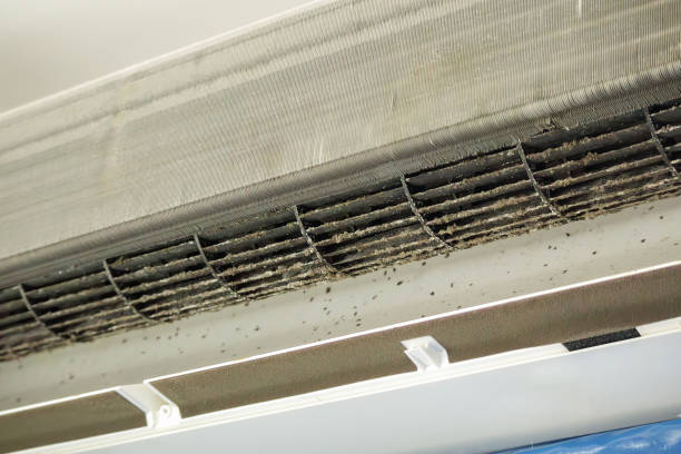 Best Residential Air Duct Cleaning  in Riverview, DE
